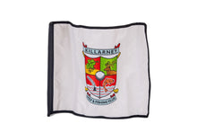 Load image into Gallery viewer, Killarney Pin Flag
